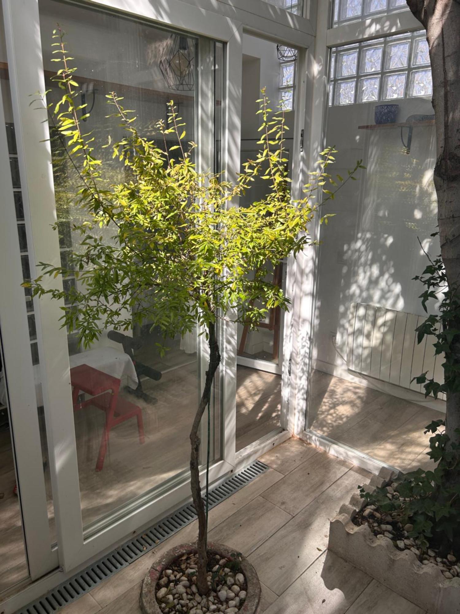 Villa Casa Rustica En Madrid Recien Reformada Extérieur photo